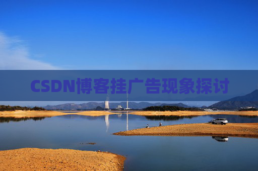 CSDN博客挂广告现象探讨